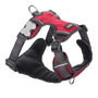 Red Dingo Petral Red Dingo Acolchado S Rojo (Set de 10)