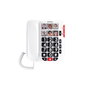 ALCATEL - Teléfono fijo supletorio con teclas grandes y altavoz para personas mayores, referencia TELEFONO SUPLETORIO ALCATEL TECLAS GRANDES