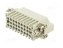 ILME CDM25 Conector HDC Macho 25 Pines