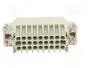 ILME CDM25 Conector HDC Macho 25 Pines