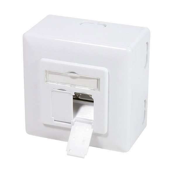 LogiLink NP0039A Toma de red CAT6 doble RJ45 blindada blanca LogiLink NP0039A Toma de red CAT6 doble RJ45 blindada blanca