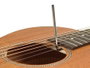 Guitarra Acústica Richwood Parlour Artesana