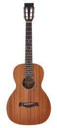 Guitarra Acústica Richwood Parlour Artesana