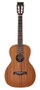 Guitarra Acústica Richwood Parlour Artesana