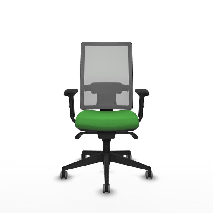 PIQUERAS Y CRESPO Silla de oficina Horna con mecanismo Sincro, Tela Verde y Malla Gris PIQUERAS Y CRESPO Silla de oficina Horna con mecanismo Sincro, Tela Verde y Malla Gris