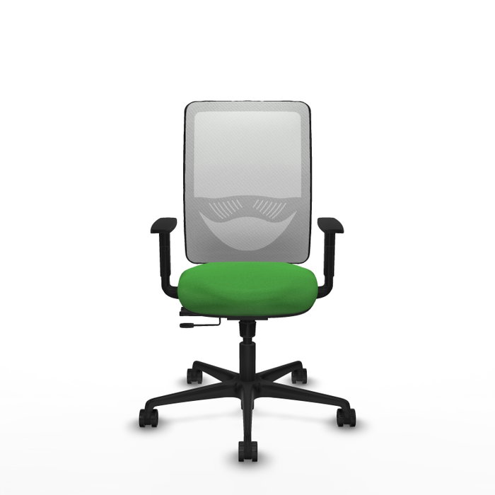PIQUERAS Y CRESPO Silla de oficina Zulema con mecanismo Sincro/Traslack, Verde y Blanco PIQUERAS Y CRESPO Silla de oficina Zulema con mecanismo Sincro/Traslack, Verde y Blanco