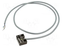 SCHMERSAL BNS 250 Interruptor de seguridad magnético NC + NA IP67