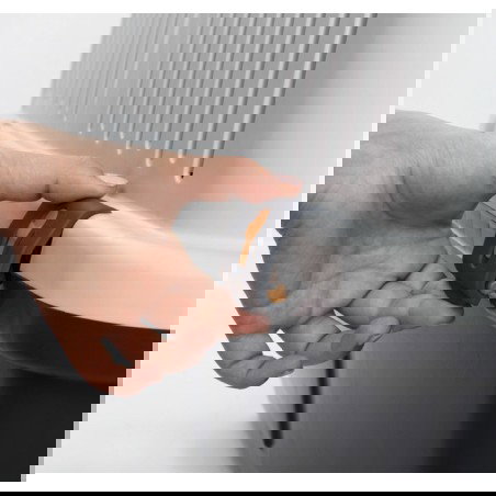 Nayeco Transportin Bracco 118x88x81 cm - 100 kg - Mascotas - IATA