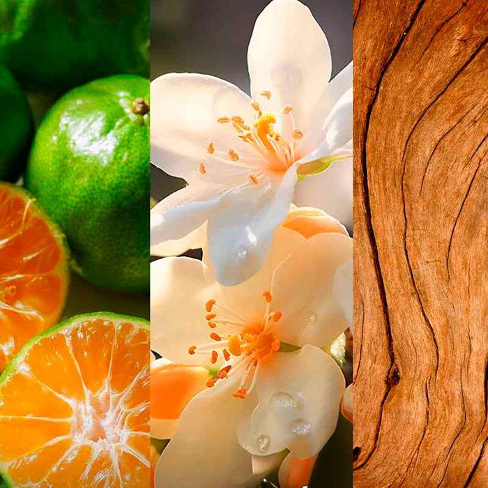 Chanson D'Eau Les Eaux du Monde Neroli Eau de Toilette 100 ml Mujer Chanson D'Eau Les Eaux du Monde Neroli Eau de Toilette 100 ml Mujer