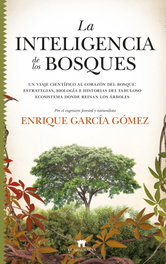 GUADALMAZAN, La inteligencia de los bosques