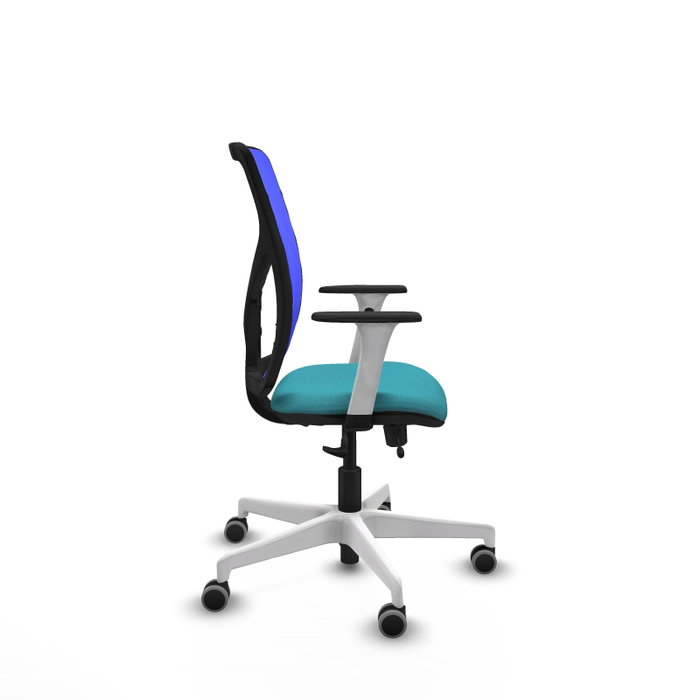 PIQUERAS Y CRESPO Silla de oficina Motilla con mecanismo Sincro/Traslack Turquesa y Azul PIQUERAS Y CRESPO Silla de oficina Motilla con mecanismo Sincro/Traslack Turquesa y Azul