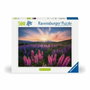 Ravensburger Puzzle de 500 piezas Los altramuces (Edición Naturaleza)探索