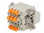 ILME Conector HDC CDSH Macho 9 Pines