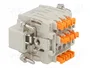 ILME Conector HDC CDSH Macho 9 Pines