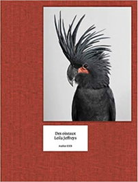 Des Oiseaux, Leyla Jeffreys - EXB ATELIER