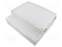 FIBOX CARDMASTER Carcasa de pared gris