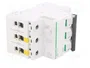 SCHNEIDER ELECTRIC Interruptor magnetotérmico iC60N 3P 3A C 400VAC