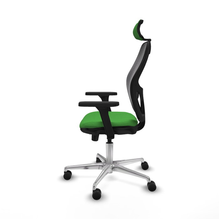 PIQUERAS Y CRESPO Silla de oficina Jorquera con mecanismo Sincro/Traslack, Verde y Negro PIQUERAS Y CRESPO Silla de oficina Jorquera con mecanismo Sincro/Traslack, Verde y Negro