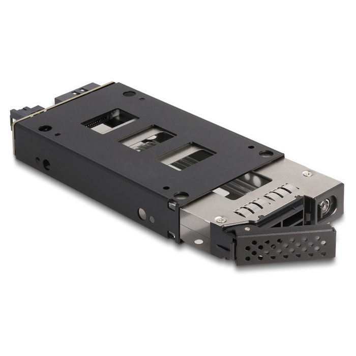 DeLOCK Estante móvil Slim Bay para 1 x SSD U.2 NVMe de 2.5″