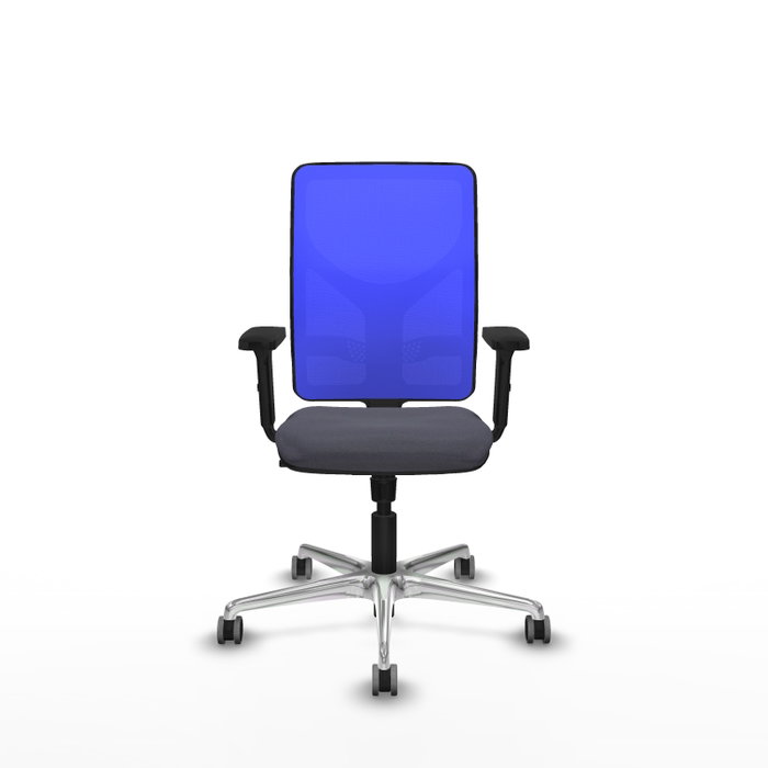 PIQUERAS Y CRESPO Silla de oficina Motilla con mecanismo Sincro, Gris oscuro y Azul PIQUERAS Y CRESPO Silla de oficina Motilla con mecanismo Sincro, Gris oscuro y Azul