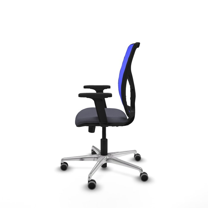 PIQUERAS Y CRESPO Silla de oficina Motilla con mecanismo Sincro, Gris oscuro y Azul PIQUERAS Y CRESPO Silla de oficina Motilla con mecanismo Sincro, Gris oscuro y Azul