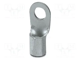 PHOENIX CONTACT Terminal de ojillo M5 10mm2 de plata