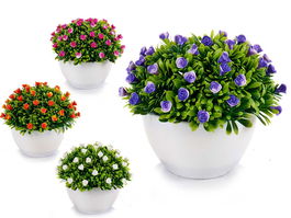 Ibergarden Planta Flores Rosas Surtidos Color Blanco, Morado, Naranja, Rojo Maceta 10 cm Dimensiones 14x12x14 cm (Set de 24)