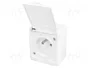 PAWBOL Tomacorriente Blanco 16A 250VAC 2P+PE