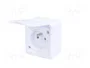 PAWBOL Tomacorriente Blanco 16A 250VAC 2P+PE
