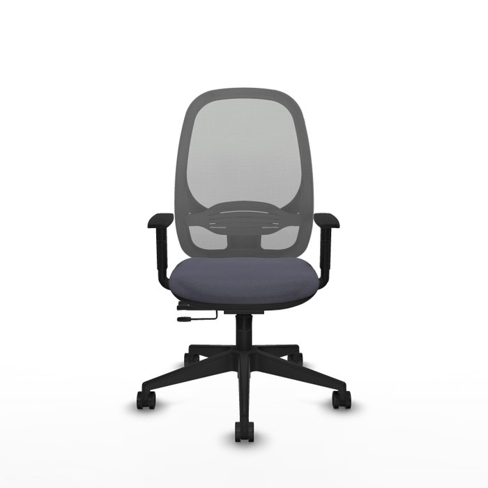 PIQUERAS Y CRESPO Silla de oficina Cilanco con mecanismo Sincro/Traslack Gris PIQUERAS Y CRESPO Silla de oficina Cilanco con mecanismo Sincro/Traslack Gris