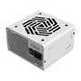 FSP VITA GM 1000W Blanco 80+ Gold ATX 3.1
