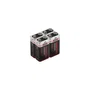 Warriors Pilas Alcalinas 6LR61 (PP3, 9V) Pack de 4 Unidades