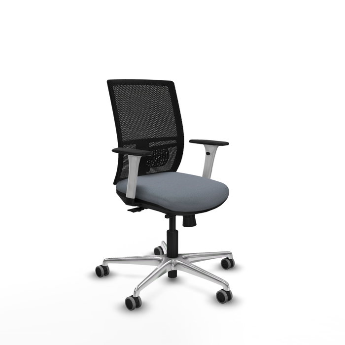 PIQUERAS Y CRESPO Silla de oficina Yunquera con mecanismo Sincro/Traslack, Gris y Negro PIQUERAS Y CRESPO Silla de oficina Yunquera con mecanismo Sincro/Traslack, Gris y Negro