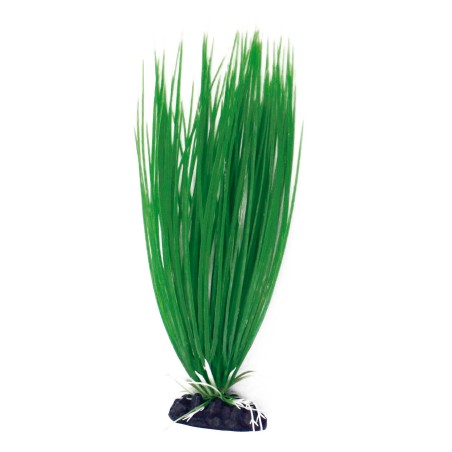 Nayeco Planta Plastico Acorus 18-20 cm Planta decorativa para acuarios