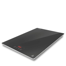 OYV Placa Caliente GN 1/1 - Placa para Buffet, Acero Inoxidable, 55x38x3 cm, 0.23 kW - Eco Cater