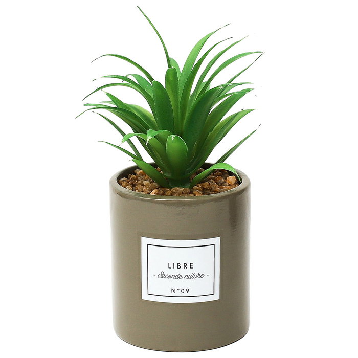 Home Deco Factory Planta Artificial Seconde Natu