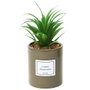 Home Deco Factory Planta Artificial Seconde Natu