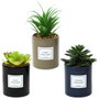 Home Deco Factory Planta Artificial Seconde Natu
