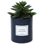 Home Deco Factory Planta Artificial Seconde Natu