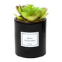 Home Deco Factory Planta Artificial Seconde Natu