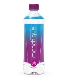 MONCHIQUE Agua Alcalina pH 9.5 510ml