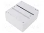ELEKTRO-PLAST NASIELSK Carcasa MINI para aparatos modulares, 6 módulos, blanca