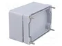 FIBOX Carcasa Universal EURONORD Gris IP66