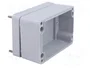 FIBOX Carcasa Universal EURONORD Gris IP66