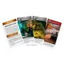 Asmodee Star Wars Escape Game