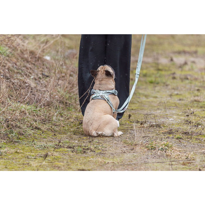 Arnés para Perro Trixie Premium FlexMesh M