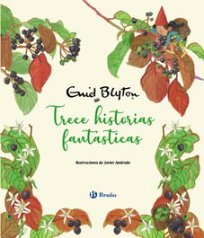 BRUÑO, Enid Blyton. Trece historias fantásticas - Bruño