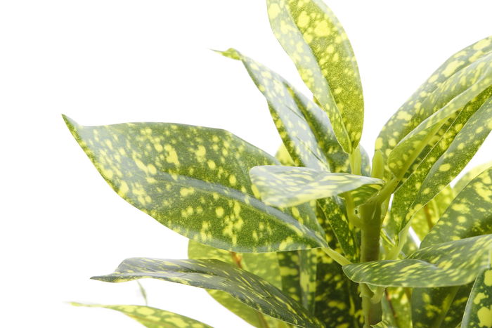 DKD Home Decor Rama Verde 21 x 32.5 x 21 cm (12 Unidades)