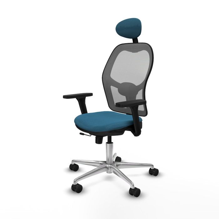 PIQUERAS Y CRESPO Silla de oficina Jorquera con mecanismo Sincro/Traslack, Verde petróleo y Gris PIQUERAS Y CRESPO Silla de oficina Jorquera con mecanismo Sincro/Traslack, Verde petróleo y Gris