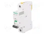 SCHNEIDER ELECTRIC Interruptor magnetotérmico iC60N 20A 1P Curva D
